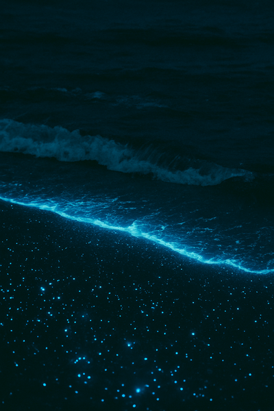 Microplankton Extract